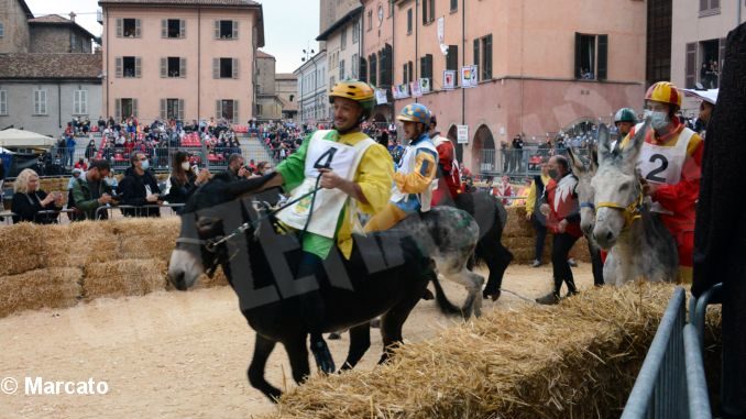 Palio degli asini 2021: Vince Moretta dopo un’ora alla moviola 7