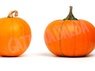 Festa di Halloween con il Gruppo animatori dell'oratorio di Farigliano