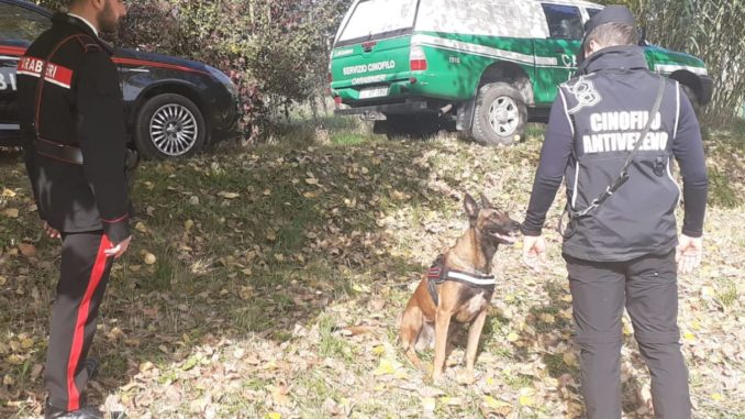I Carabinieri forestali di Asti ispezionano i boschi di San Marzano alla ricerca di esche