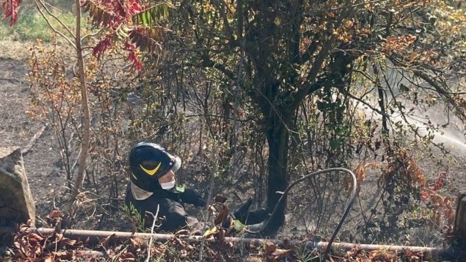 Incendio in un giardino: i pompieri evitano la propagazione del rogo