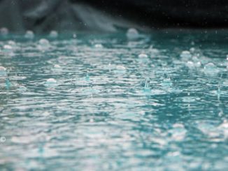 Meteo: piogge alluvionali su Liguria di Ponente e valle Tanaro, poi migliora