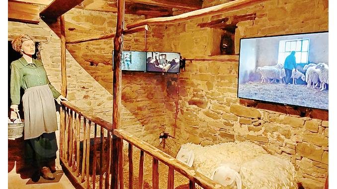 Nell’Ecomuseo della pecora di Paroldo convivono passato e presente