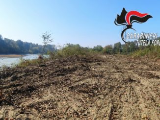 Deforestano un'area nel parco delle Rocche del Tanaro: tre denunciati