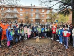 Carabinieri forestali e scuole hanno piantato 32 alberi