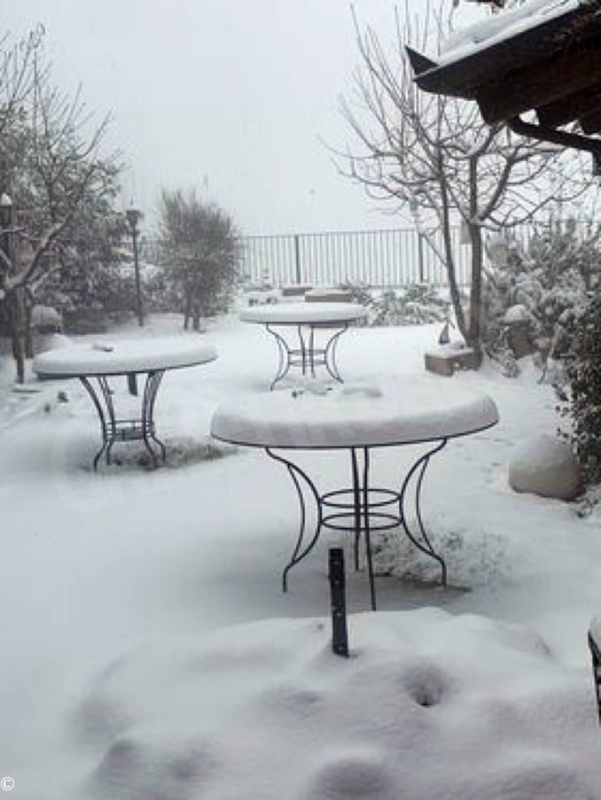 La nevicata su Alba, Bra, le Langhe e il Roero (FOTOGALLERY)