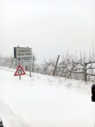 La nevicata su Langhe e Roero 4