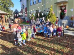 Carabinieri forestali e scuole hanno piantato 32 alberi 1