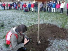 Carabinieri forestali e scuole hanno piantato 32 alberi 2