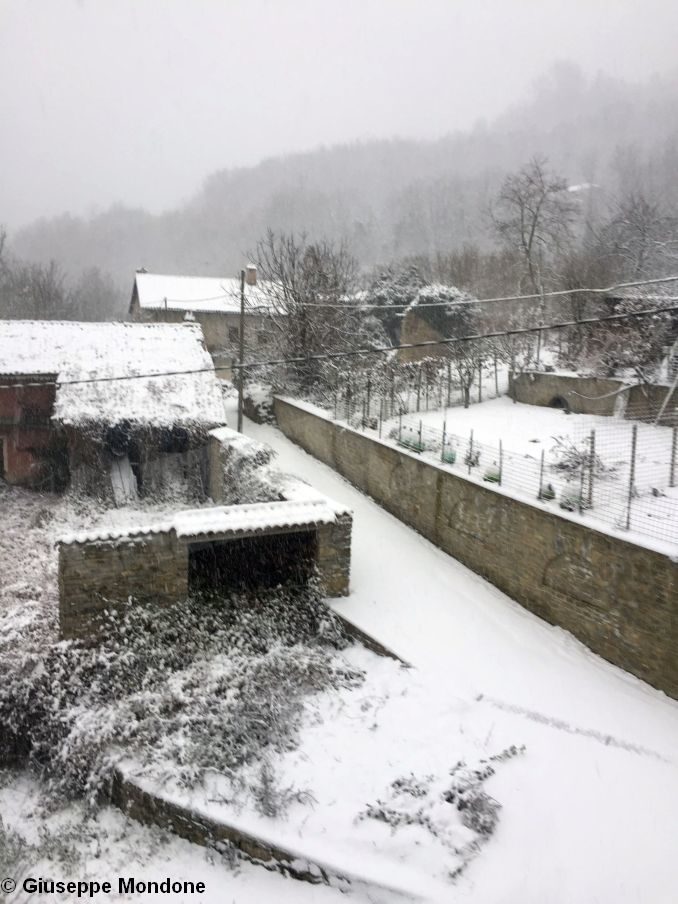 La nevicata su Langhe e Roero 2