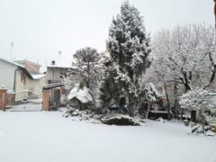 La nevicata su Langhe e Roero 13