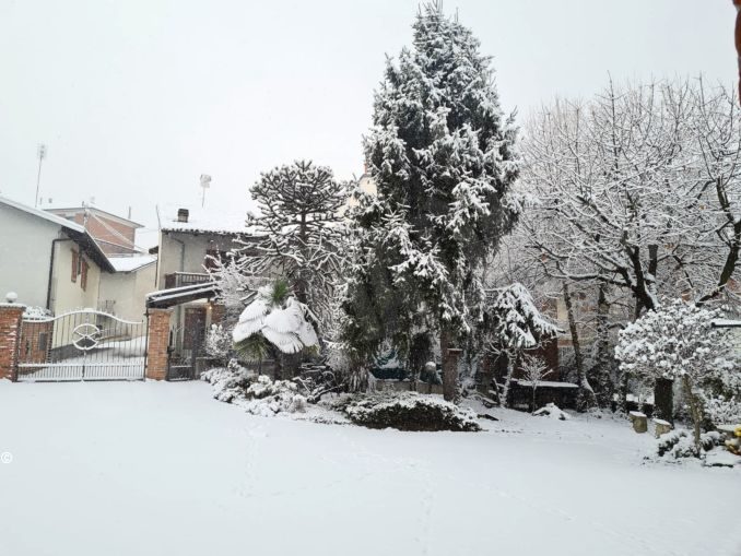 La nevicata su Langhe e Roero 13