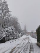 La nevicata su Alba, Bra, le Langhe e il Roero (FOTOGALLERY) 4