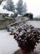 La nevicata su Langhe e Roero 3