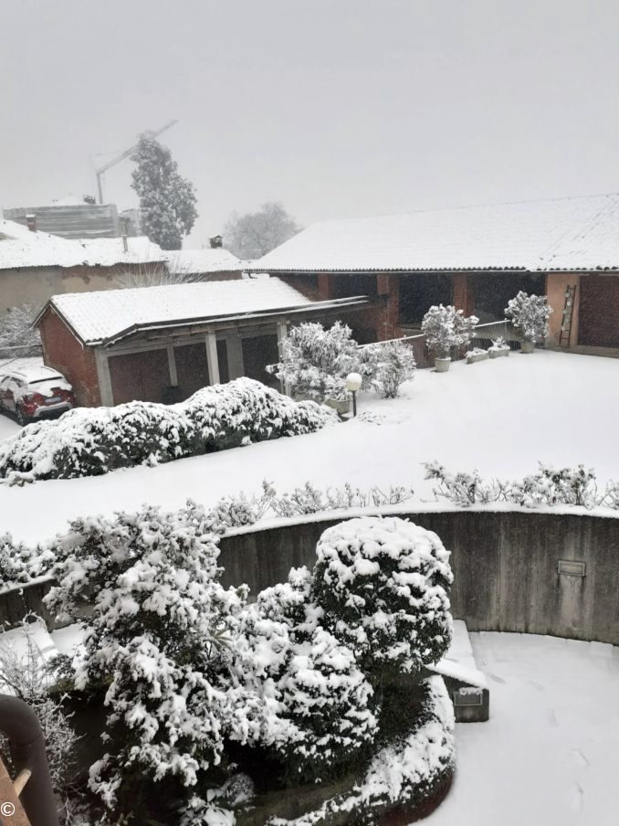 La nevicata su Langhe e Roero 6