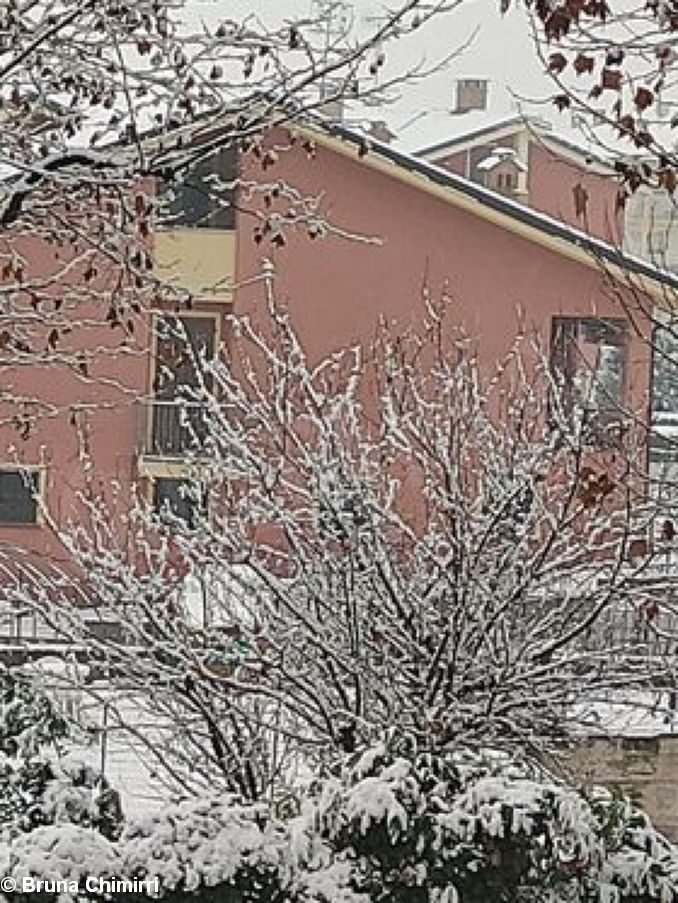 La nevicata su Alba, Bra, le Langhe e il Roero 24