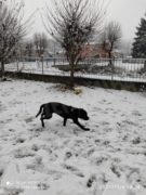 Dopo le nevicate è arrivato il gelo: -28 sul Monte Rosa 3