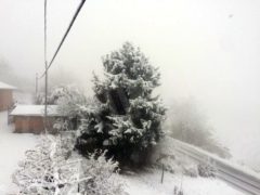 La nevicata su Alba, Bra, le Langhe e il Roero 20