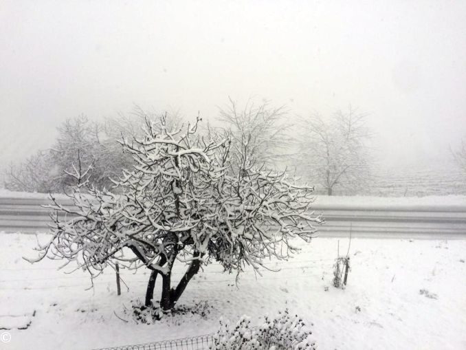 La nevicata su Alba, Bra, le Langhe e il Roero 21