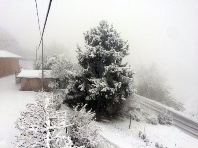 La nevicata su Alba, Bra, le Langhe e il Roero 22