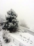 La nevicata su Alba, Bra, le Langhe e il Roero 23