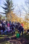 Carabinieri forestali e scuole hanno piantato 32 alberi 10