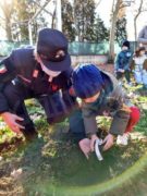 Carabinieri forestali e scuole hanno piantato 32 alberi 11