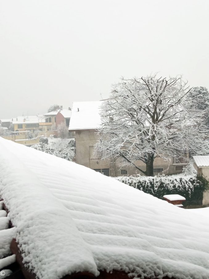 La nevicata su Alba, Bra, le Langhe e il Roero 3