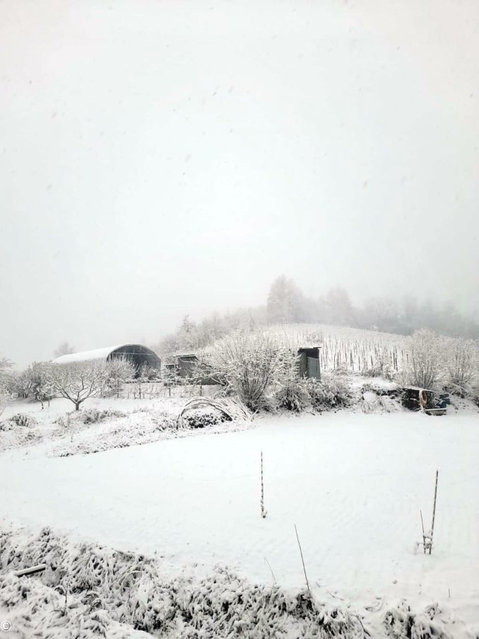 La nevicata su Alba, Bra, le Langhe e il Roero 4