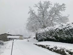 La nevicata su Langhe e Roero 7