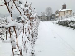 La nevicata su Langhe e Roero 8