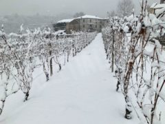 La nevicata su Langhe e Roero 9