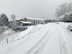 La nevicata su Langhe e Roero 10