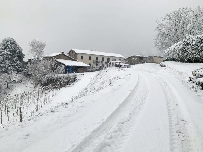 La nevicata su Langhe e Roero 10