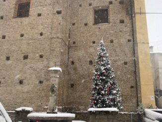 La nevicata su Alba, Bra, le Langhe e il Roero 34