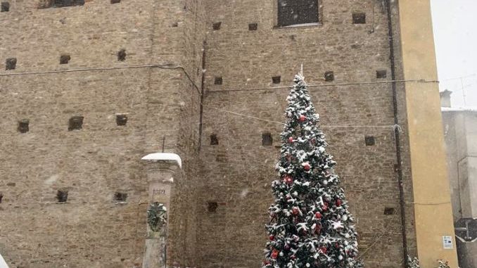 La nevicata su Alba, Bra, le Langhe e il Roero 34