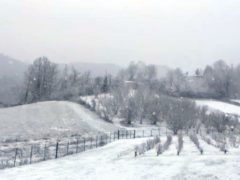 La nevicata su Langhe e Roero 15