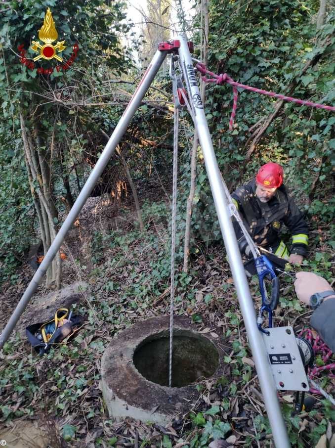Montechiaro: cane cade in un pozzo e viene salvato dai Vigili del fuoco