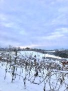 Dopo le nevicate è arrivato il gelo: -28 sul Monte Rosa 7