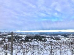 Dopo le nevicate è arrivato il gelo: -28 sul Monte Rosa 8