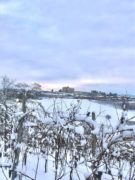 Dopo le nevicate è arrivato il gelo: -28 sul Monte Rosa 10