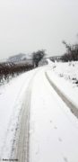 Dopo le nevicate è arrivato il gelo: -28 sul Monte Rosa 12