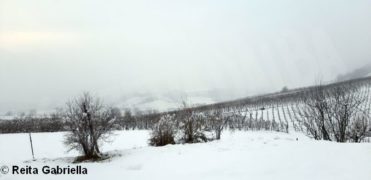 Dopo le nevicate è arrivato il gelo: -28 sul Monte Rosa 14