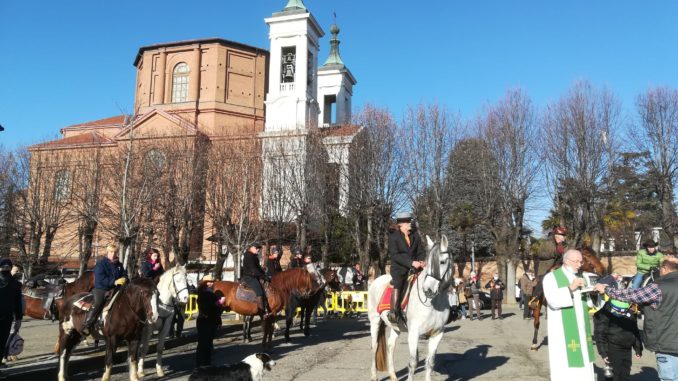 Benedizione dei cavalli al santuario della Madonna dei fiori