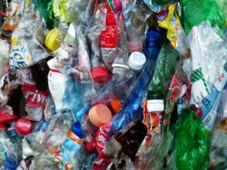 Bottiglie in plastica riciclata, Coca Cola investe 30 milioni nel biellese