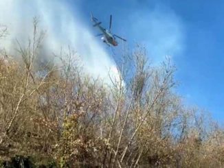 Incendio nei boschi di Priero: chiesto l'intervento dell'elicottero