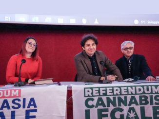 Referendum eutanasia e cannabis, nasce Coordinamento Torino