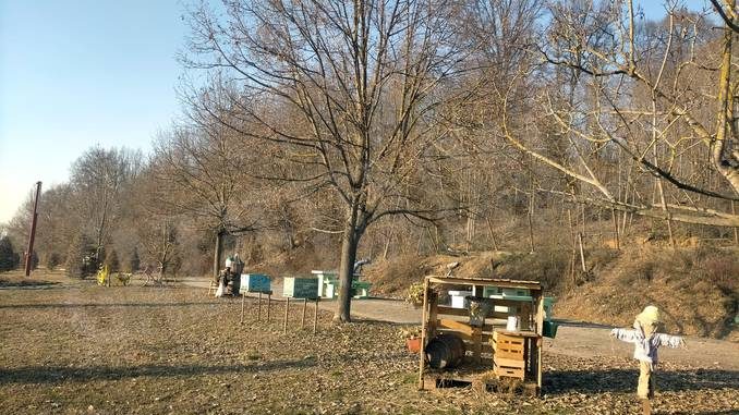 Nuovamente vandalizzata l'area verde di Angeli di ninfa a Ceresole