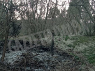 Incendio di sterpaglie a Rodello domato dei Vigili del fuoco