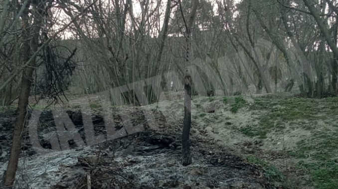 Incendio di sterpaglie a Rodello domato dei Vigili del fuoco