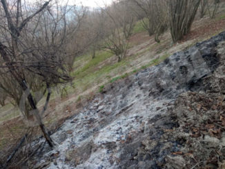 Incendio di sterpaglie a Rodello domato dei Vigili del fuoco 1